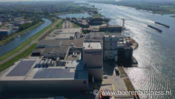 Vreugdenhil blijft in top, ondanks lagere prijs