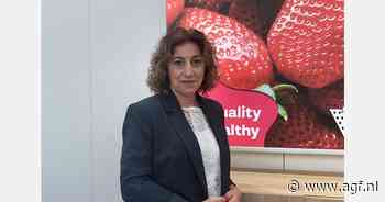 Goede vraag naar Spaanse aardbeien