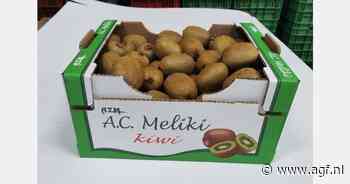 "Uitstekend Grieks kiwiseizoen opent weg naar nieuwe markten"