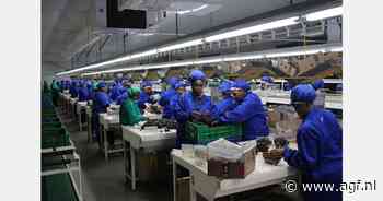 "Ons doel is om de teelt van vroege druiven verder uit te breiden"