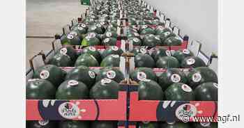 Pompoenen en meloenen uit Senegal