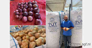 Egyptische uienexporteurs hopen op betere vraag