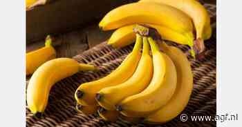 Ecuadoraanse bananensector versterkt banden met EU