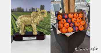 Olifanten tussen de sinaasappelen