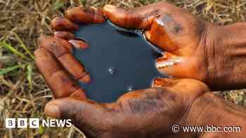 Oil clean-up 'scam' warnings ignored by Shell, whistleblower tells BBC