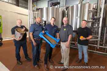 Maggots create business opportunity