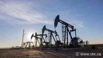 Sask. businesses near border brace for impact of tariffs