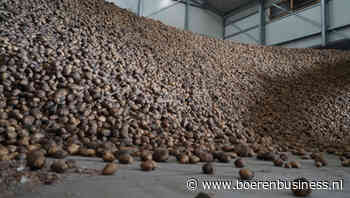 NEPG bang dat de markt zich vergallopeerd