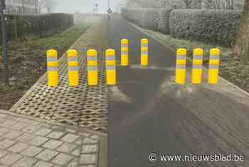 Proefopstelling met plastic paaltjes moet fietsers doen vertragen