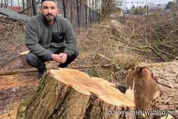 Bomen in achtertuin Mustafa per ongeluk gekapt: “We waren van plan een zwembad aan te leggen. Maar als iedereen die voorbijrijdt een inkijk heeft...”