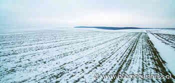 Is sneeuw de redding voor tarwe in Rusland en de VS?