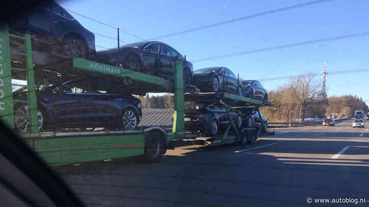 Miljoenen aan subsidie door de plee vanwege export Tesla’s