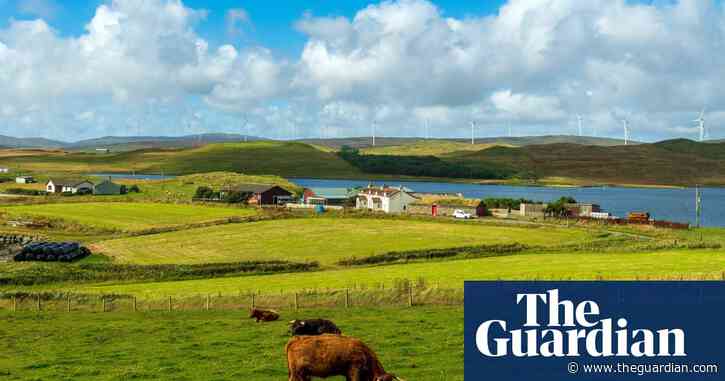 Windfarm profits should be used to screen Scots for rare diseases, says scientist