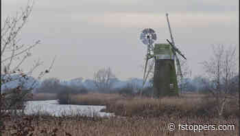 How to Make the Most of Flat Winter Light