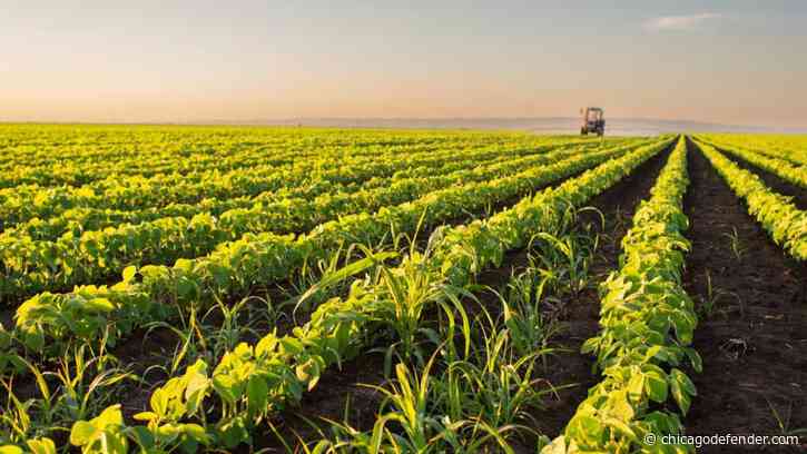 Judge Rules Railroad Can Take Black Family’s Land After 100+ Years