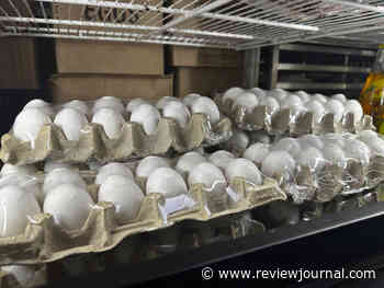 US eggs prices hit record high and are likely to keep climbing