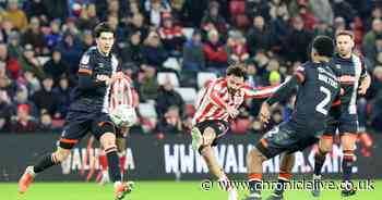 The divisive Sunderland star who could prove pivotal in Championship run-in