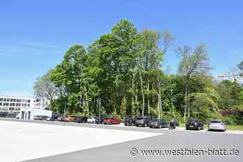 Hesse-Wäldchen: Linke lehnen Rodung weiterhin ab