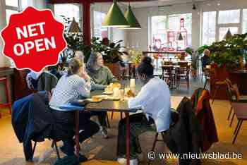 Museumcafé Riso is open: “We hebben verwijzingen naar speelkaarten bewust wat vermeden”