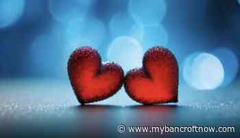 OPP offer advice to help avoid fraud and financial heartbreak