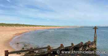 Man dies in water at Seaton Sluice as emergency services respond to incident on Northumberland coast