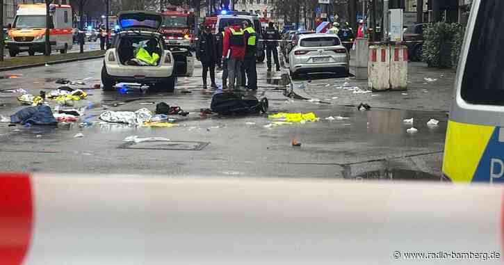 Bayerische AfD fordert Söders Rücktritt