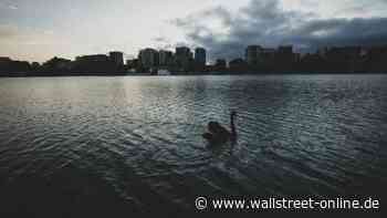 Vorsicht vor grauen Schwänen!: "Börsencrash von bis zu 40 Prozent möglich", warnt eine Bank