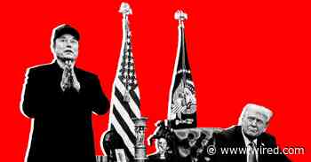 DOGE's Race to the Bottom