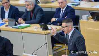 "CDU soll Farbe bekennen": AfD-Fraktion in Sachsen-Anhalt kapert Merz' Fünf-Punkte Plan