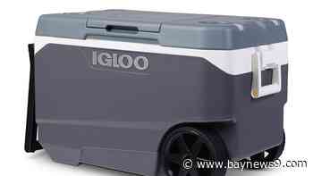 Igloo recalls over a million coolers after handle hazard causes fingertip amputation injuries