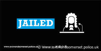 North Somerset sex offender jailed