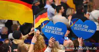 Gericht weist AfD-Eilantrag zu Wahlspot zurück: Partei muss Video löschen