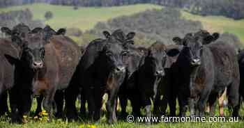 High rainfall, high-performance cattle country for up to 4500 backgrounders