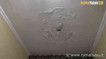 Infiltrazioni e muffa in casa: "Il Comune intervenga prima che sia troppo tardi"