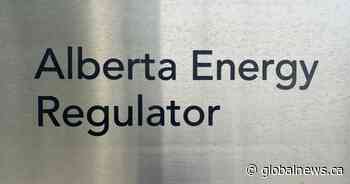 Alberta Energy Regulator names former oil and gas CEO as watchdog’s top executive