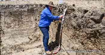 Why knowing your soils is crucial to cropping success