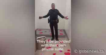 Viral Valentine: Brandon police get clicks with video plea to turn in criminal exes