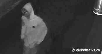 Calgary man accused of vicious sexual assault arrested 5 years later due to DNA evidence