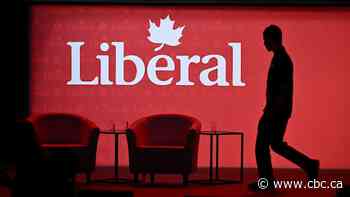 Liberals deny Ruby Dhalla interpreter for French leadership debate