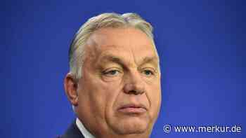 Von Trump überrumpelt: Orbán verspottet die EU wegen Ukraine-Friedensplan