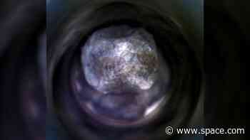 Perseverance rover's Mars samples show traces of ancient water, but NASA needs them on Earth to seek signs of life