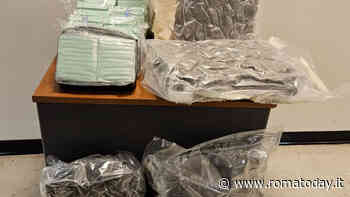 Trasporta la droga al fresco in una borsa frigo: sequestrati 11 chili fra hashish e marijuana