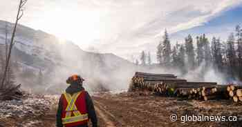 Bow Valley groups band together to prevent devastating wildfires