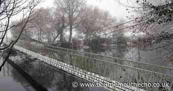 Swaying into the past on Canford's enchanting suspension bridge
