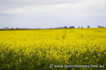 WA harvest cracks 20 million tonnes