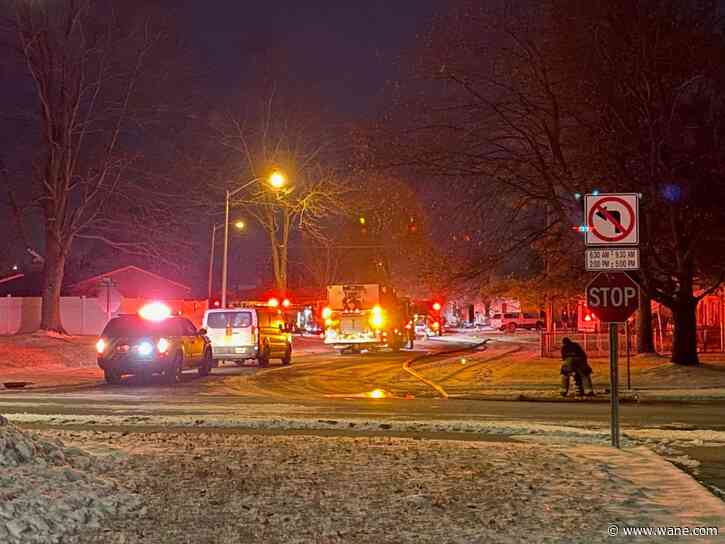 4 pets killed in house fire off Coldwater Road