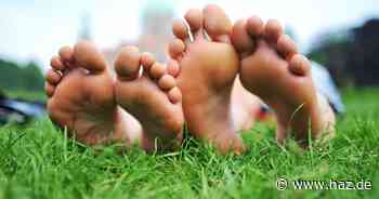 Valentinstag: Sechs berührende Liebesgeschichten aus Hannover