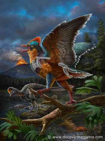 149-Million-Year-Old Fossil Pushes Origins of Birds to the Jurassic Period