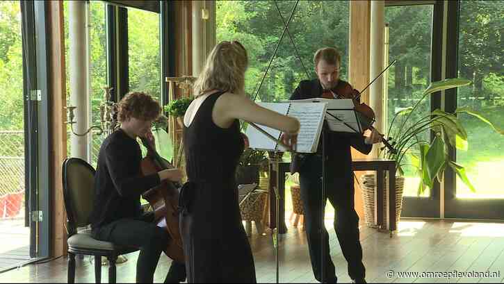 Lelystad - Een cultureel feestje of theater in de wijk? Lelystad stelt geld beschikbaar
