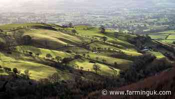 'We’re not happy': Wales' First Minister concerned over ag funding change